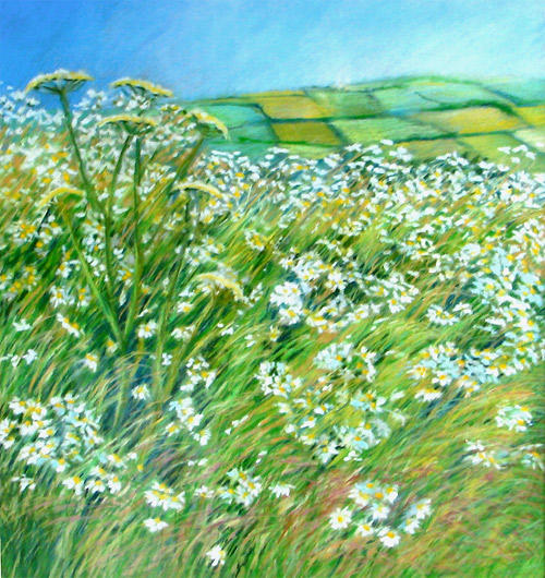 Flowers of the Field by Katherine Tyrrell (Pastel 14.75" x 13.75")