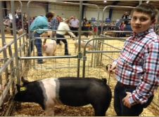 Will Prater
7th in Class
2015 TN State Market Hog Show