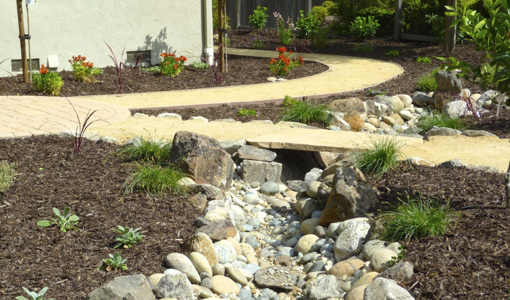 Moraga Sanctuary - dry creek bed