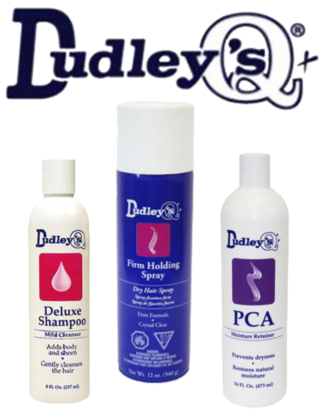 Dudley Hair Products