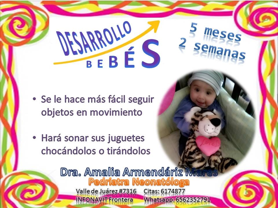 https://0201.nccdn.net/4_2/000/000/078/264/Desarrollo-beb--s-022-960x720.jpg