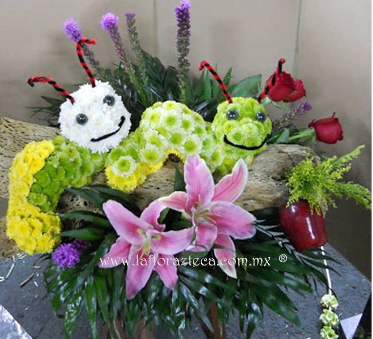 LFA-FF002
Precio $1,580