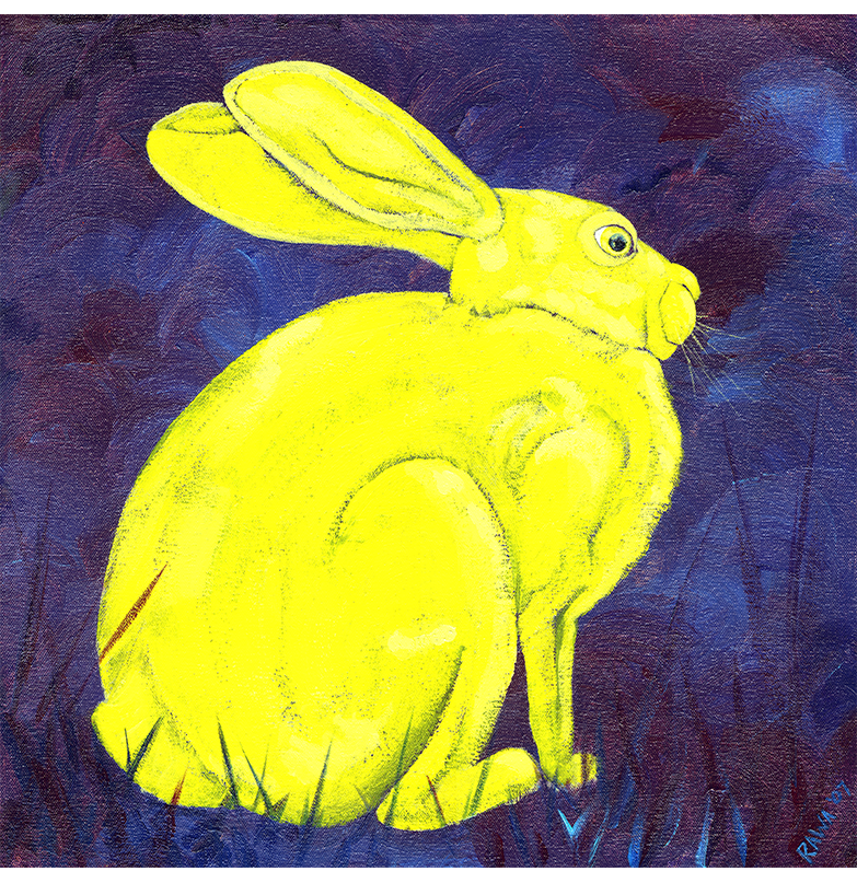 Rabbit