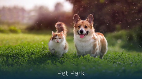 https://0201.nccdn.net/4_2/000/000/078/264/pet-park.jpg