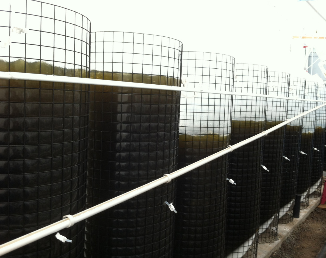 SEACAPS IS A COMPLETELY INTEGRATED SYSTEM THAT REDUCES UP TO 90% OF TRADITIONAL ALGAE CULTURE COSTS