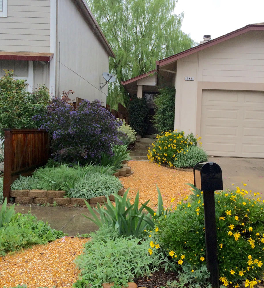 AFTER - Transformation to a drought-tolerant, perennial garden with accessibility for residents and guests