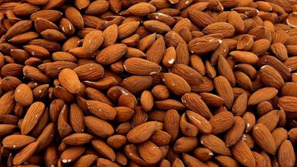 https://0201.nccdn.net/4_2/000/000/079/c81/almendra.jpg