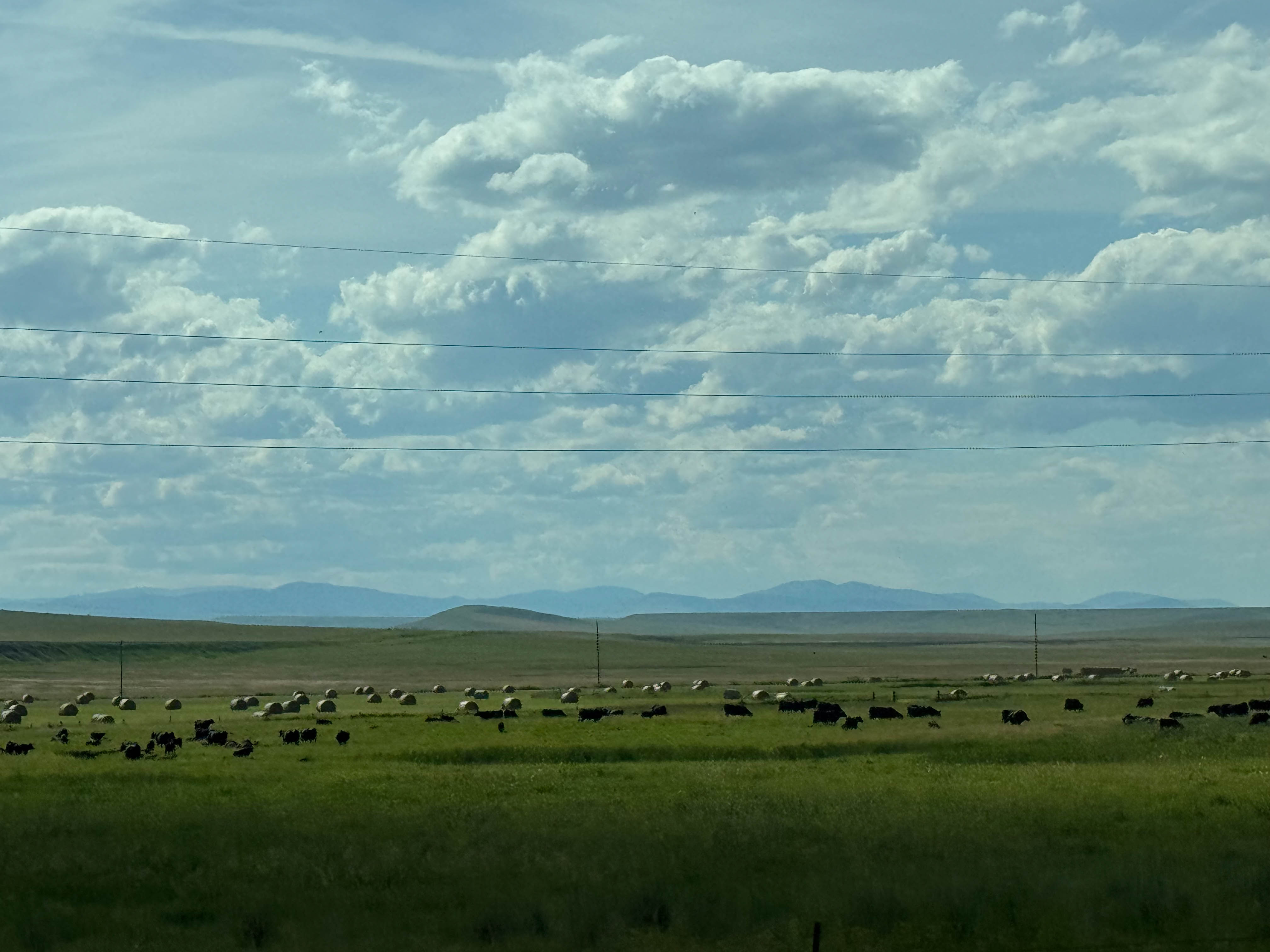 https://0201.nccdn.net/4_2/000/000/079/c81/dallas-order-76.jpg
