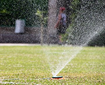 Sprinklers Watering Grass