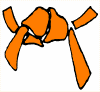 Orange belt Orange belt