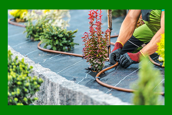 Irrigation System Building