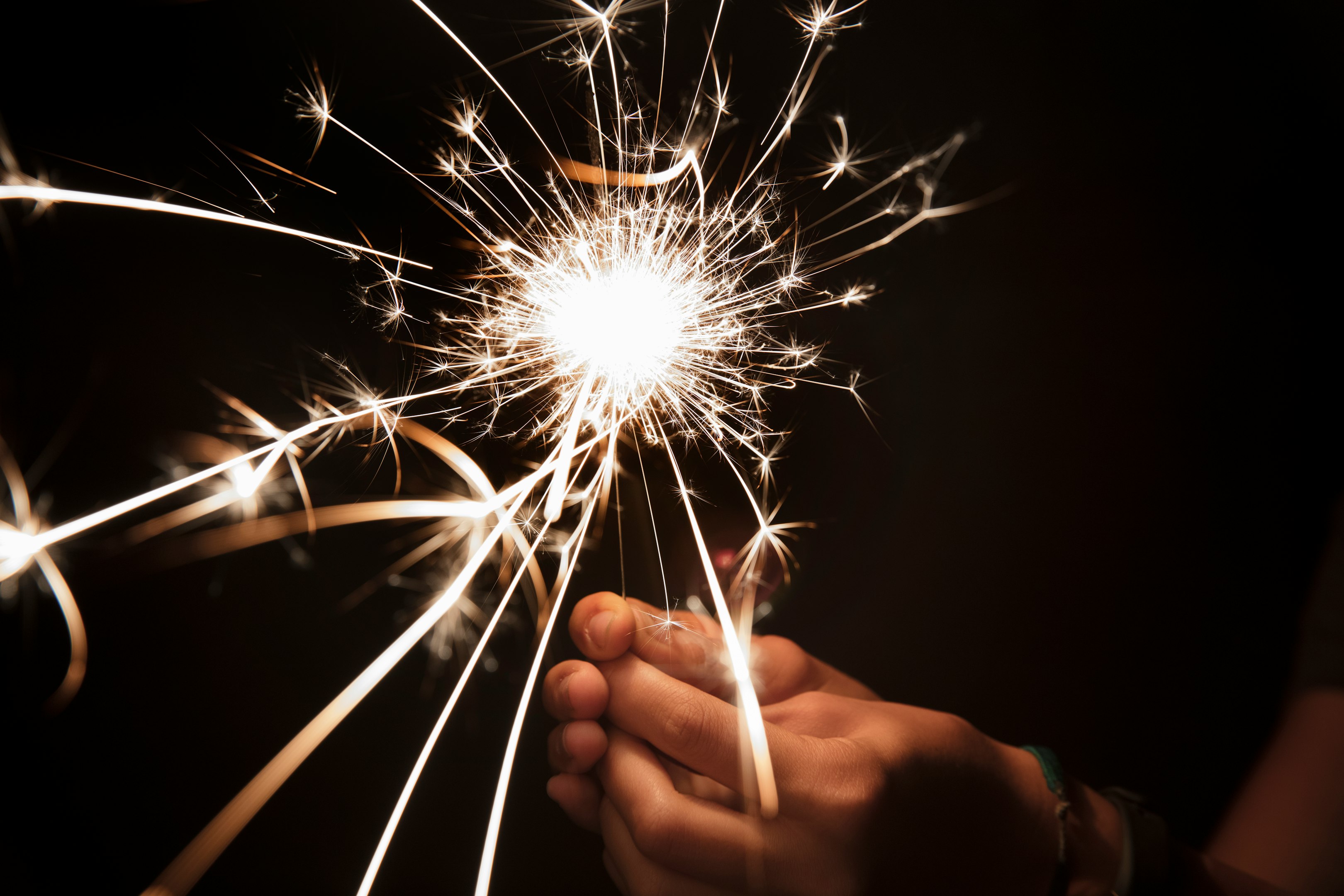 Bright fireworks and long leaves against a dark night sky