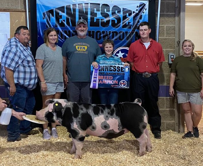 Snowie Halsell
2020 Tennessee Swine Showdown
Champion Spot Barrow