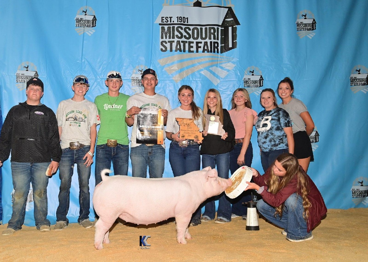 Lena Stricklin
2024 Missouri State Fair
Reserve Champion 
Chester White Gilt