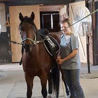 Emily and Matias untacking and spending time offering a final groom.