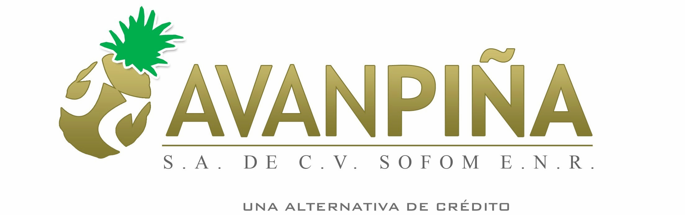 AVANPIÑA SA DE CV SOFOM ENR