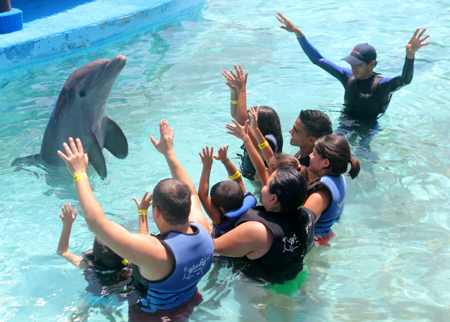 ENSEÑA NUEVAS Y DIVERTIDAS INSTRUCCIONES ¡¡¡