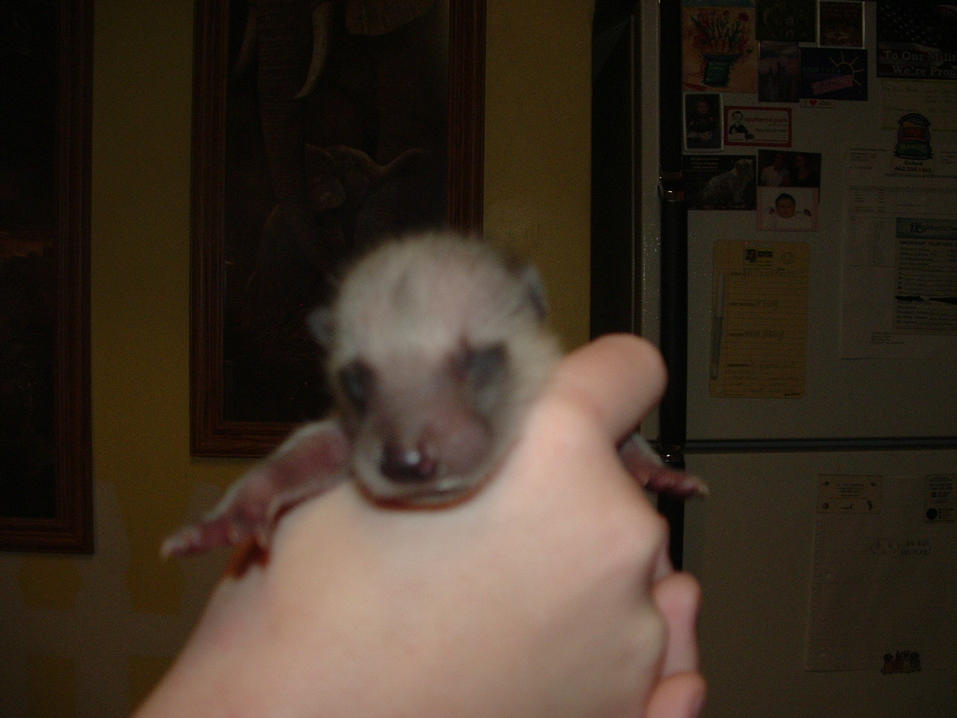 I am so good looking!