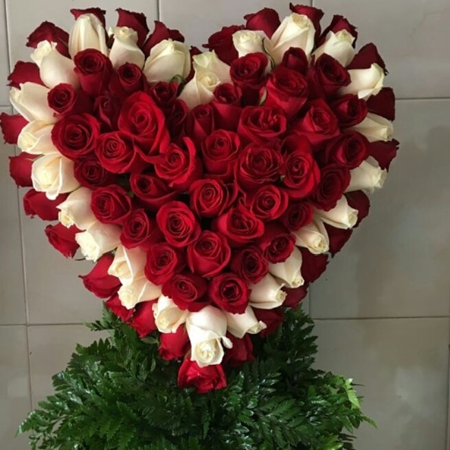 https://0201.nccdn.net/4_2/000/000/07b/1f6/IMG-20190430-WA0095.jpg