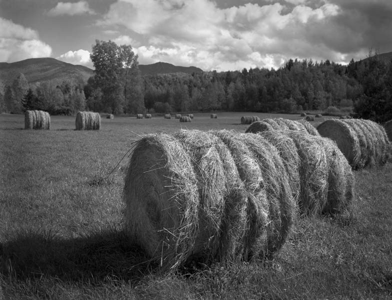 Rolling in the Hay