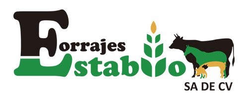 Título del sitio