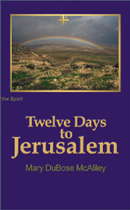 Twelve Days to Jerusalem book