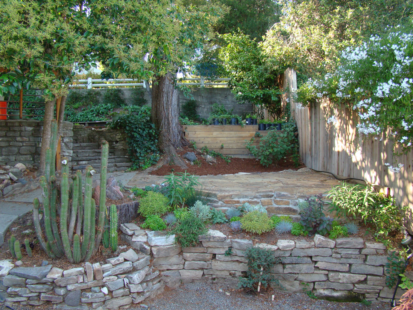 AFTER - Flagstone patio and succulent bed - front view