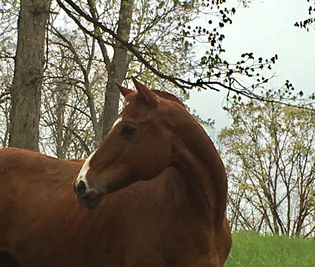 Duke is very special to all of us.