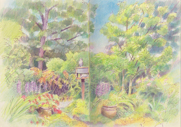 Cheshire garden in early August