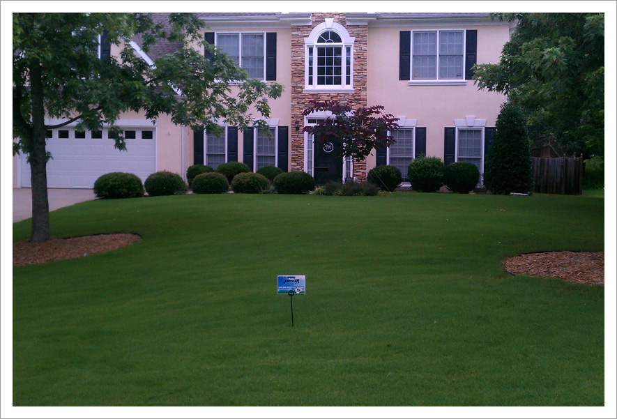 Big dark green healthy lawn||||