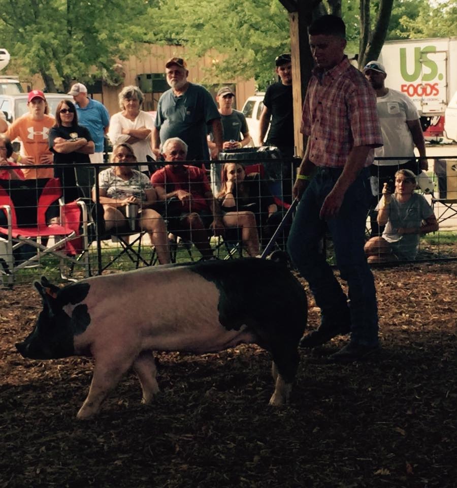 Carrick Wigger
Crawford County Fair
Cuba, Missouri
3rd in Class 
Standing behind Champion and Reserve
