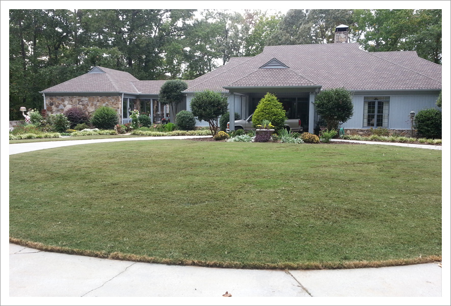 Clear healthy circular lawn||||