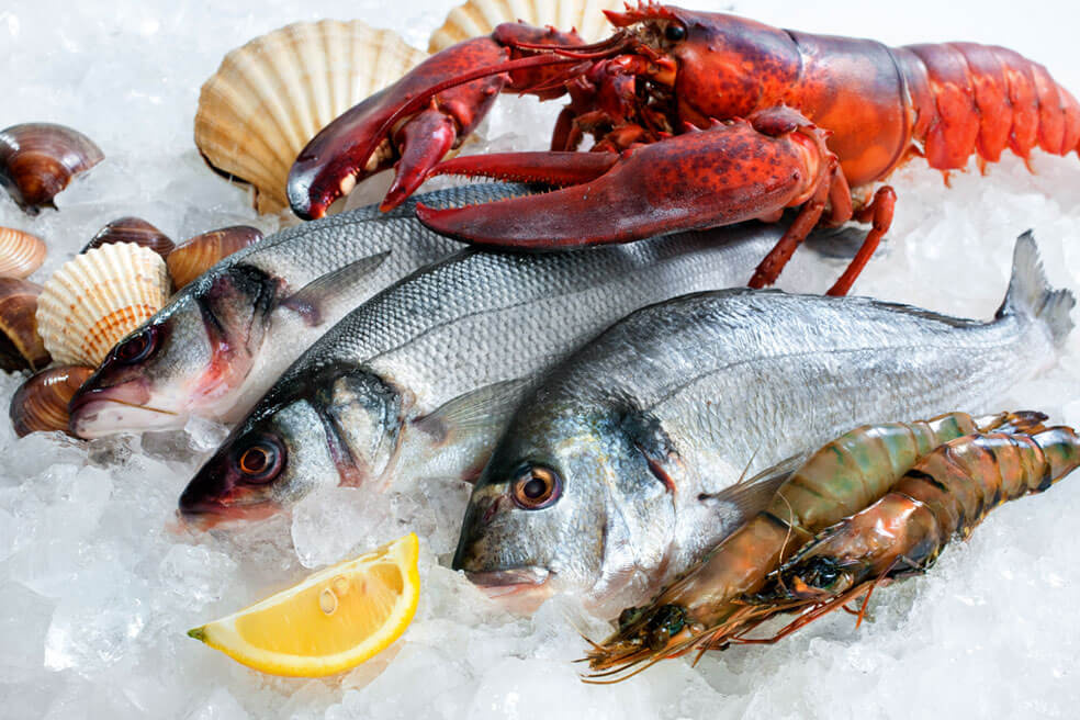 Freddie Avila, Pesca de Camarón y Mariscos SA de CV - VARIEDAD DE MARISCOS