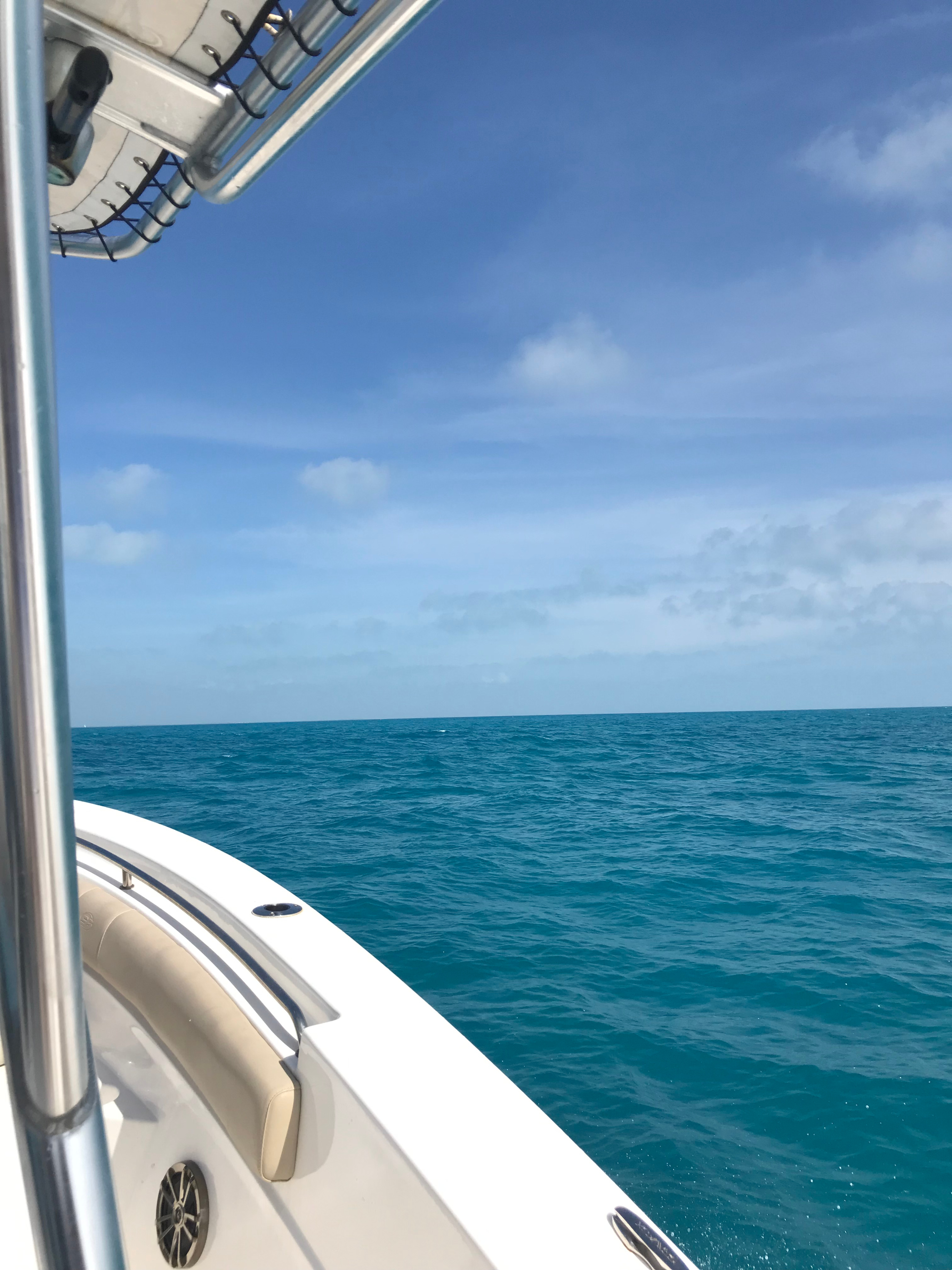 Snorkeling off the coast of Key West