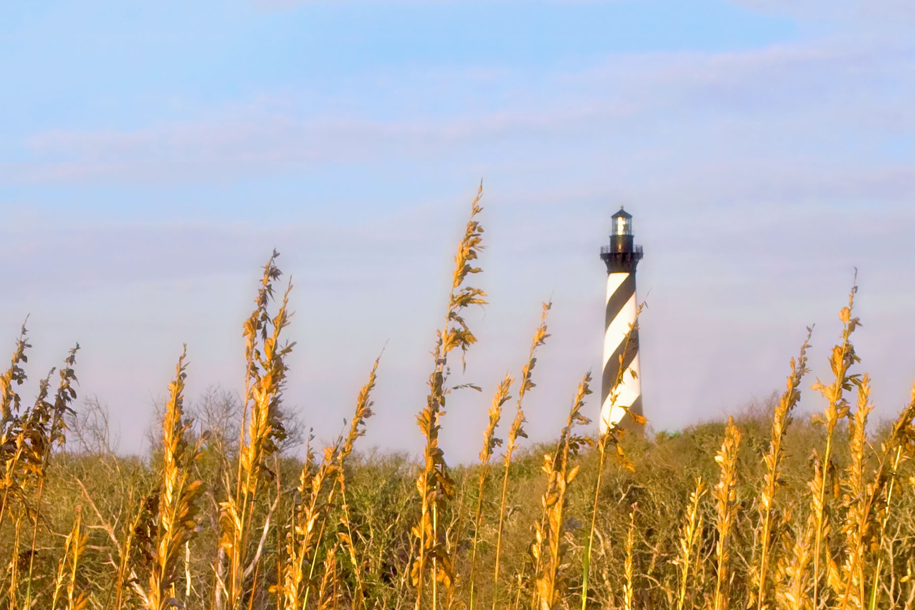 WILD OATS - Sea oats, nice sky, and a lighthouse. Just aim and shoot.