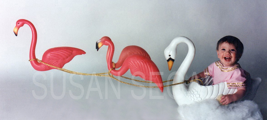 Chariot of Flamingos - Napa