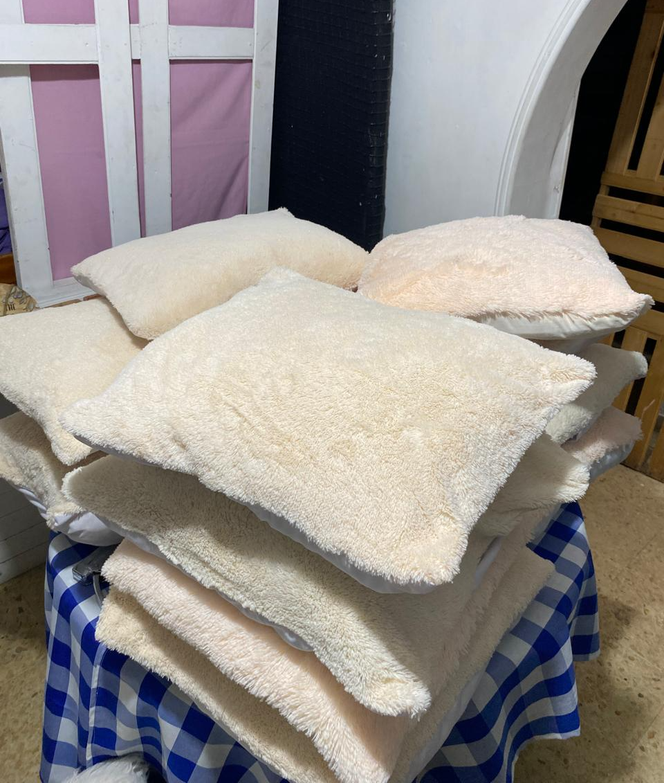 Cojines en tela Felpudo
44cm x 44cm
Alquiler $ 5.000