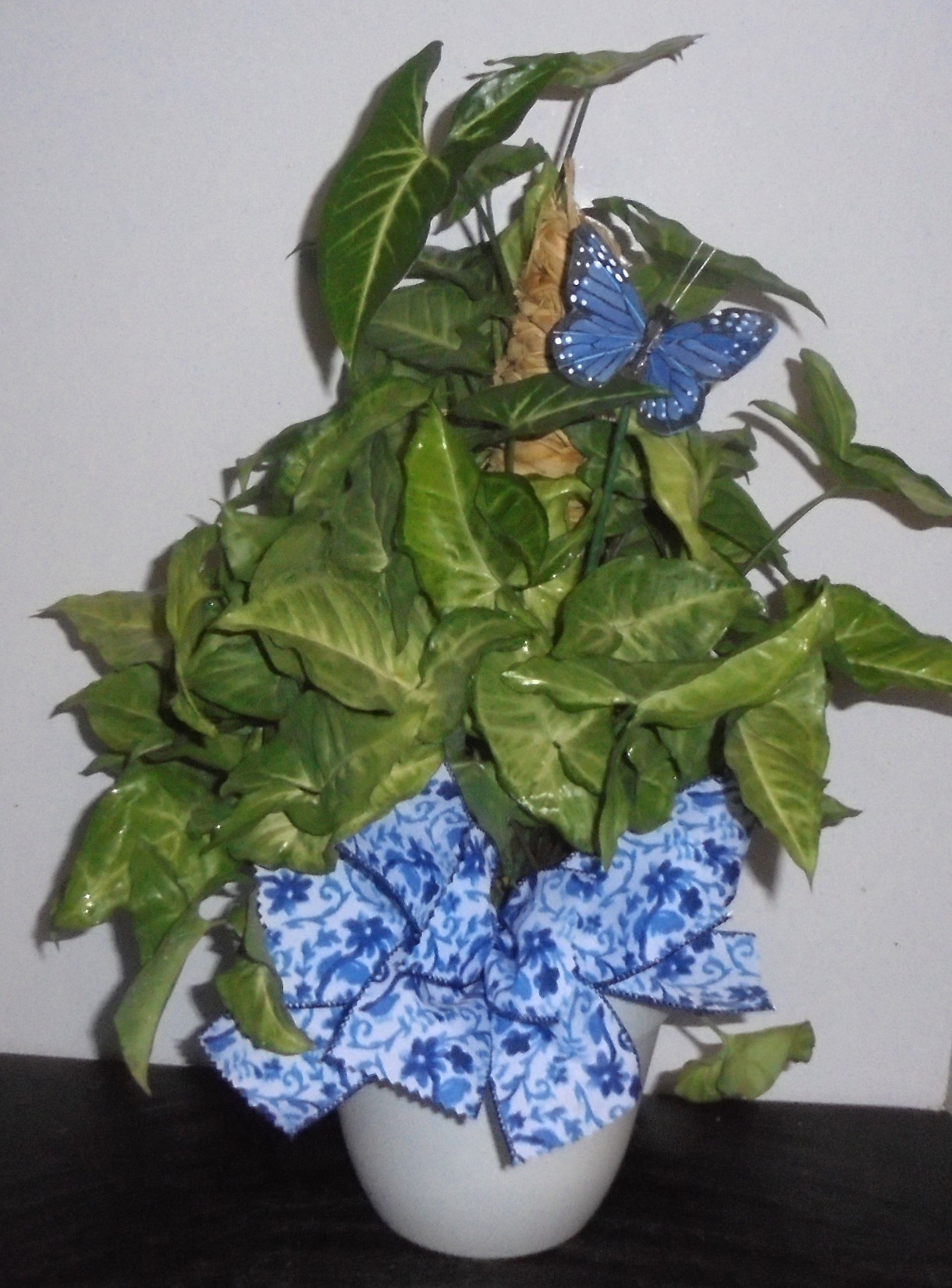 (30) "Butterfly" Pole Plant
W/ Butterfly
$45.00