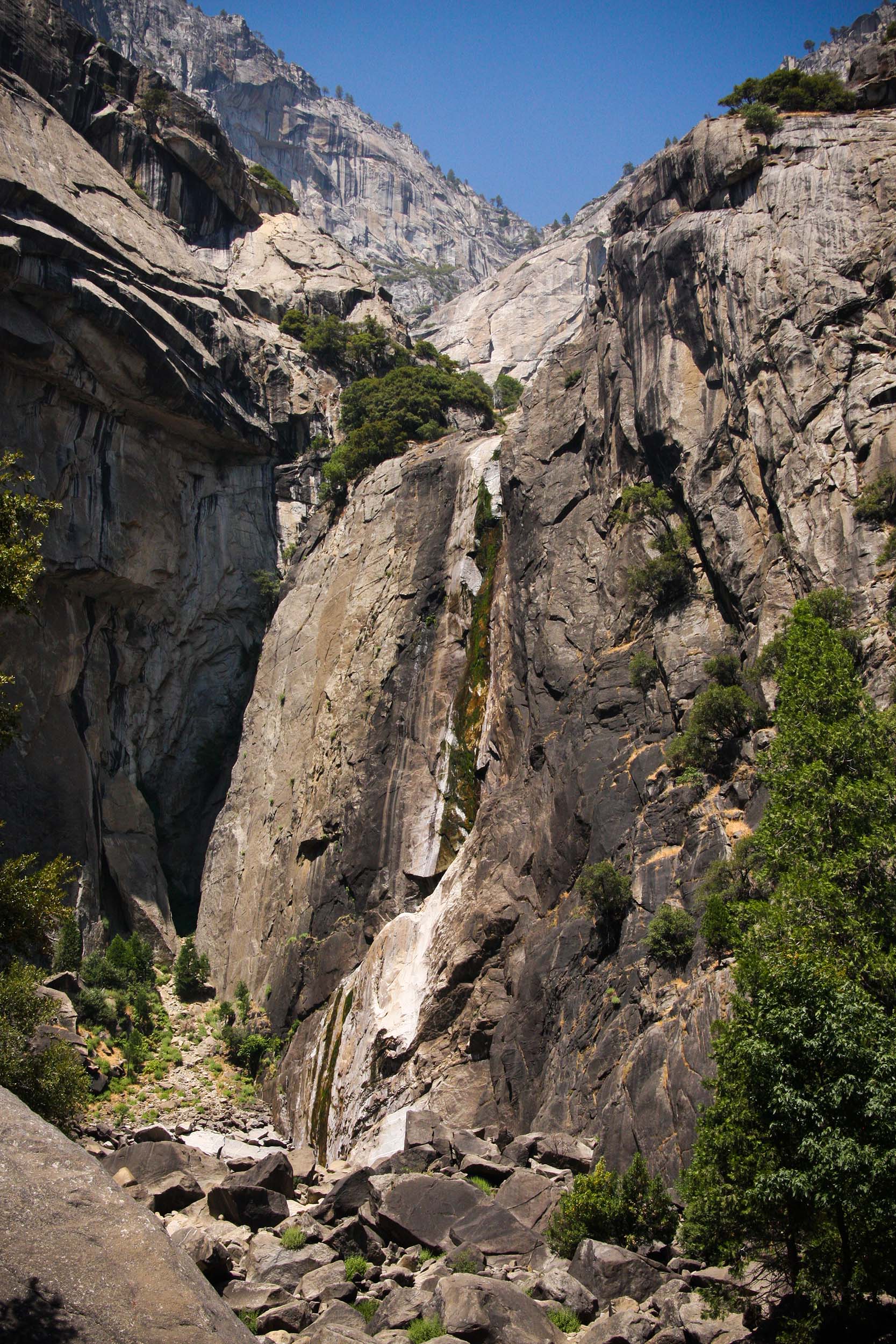 Nature photos