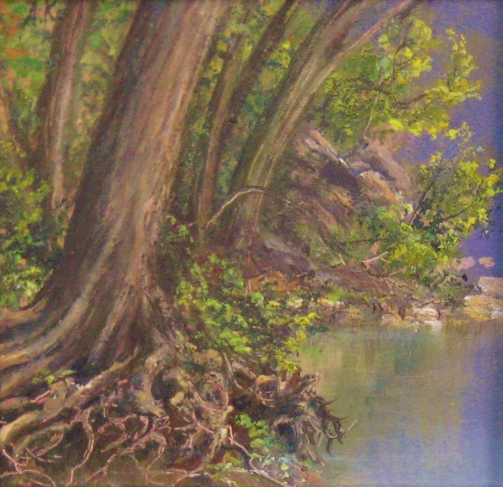 Shoreline Roots, Marsdaen Tract, 3.75x4 Oil