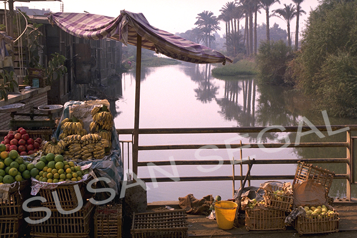 Market along the Nile River - Egypt