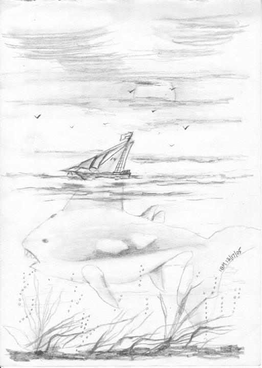 sail-fish