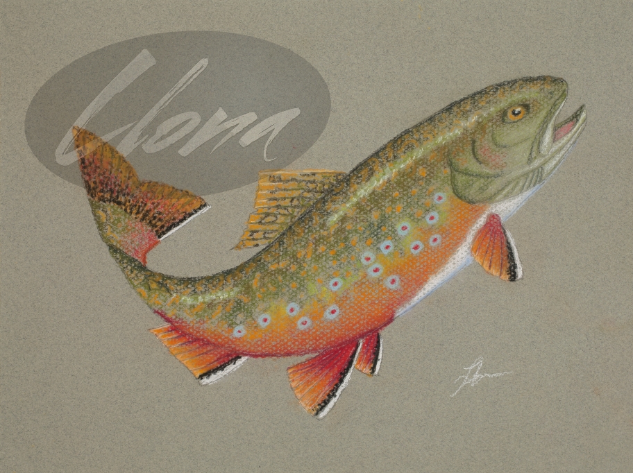 Brook Trout 2019
9" x 12" Giclee - $56.00
Canvas Mount Giclee - $139.00