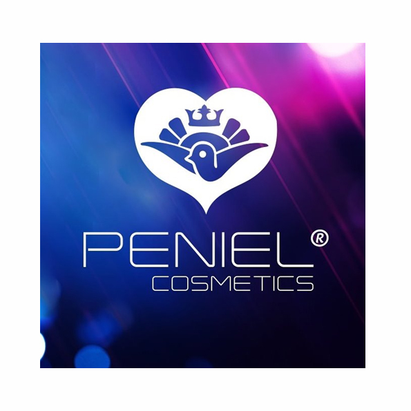 https://0201.nccdn.net/4_2/000/000/07d/dee/peniel_logo.jpg