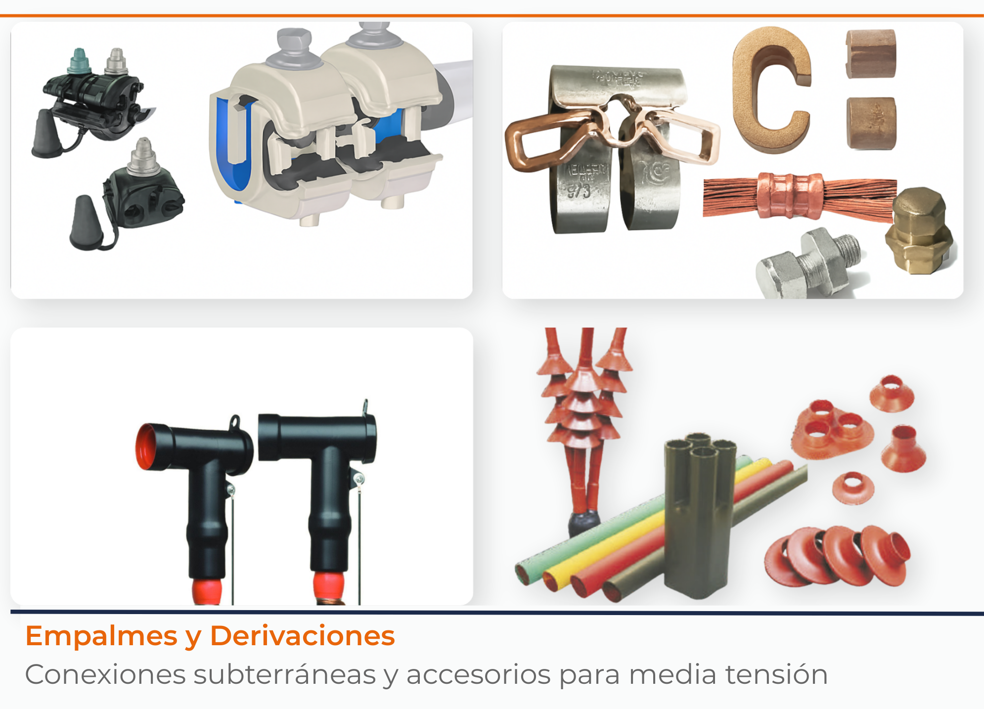 Young dark haired woman 