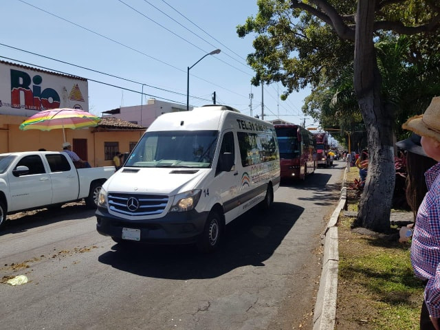 Young dark haired woman