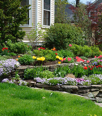 Landscaping