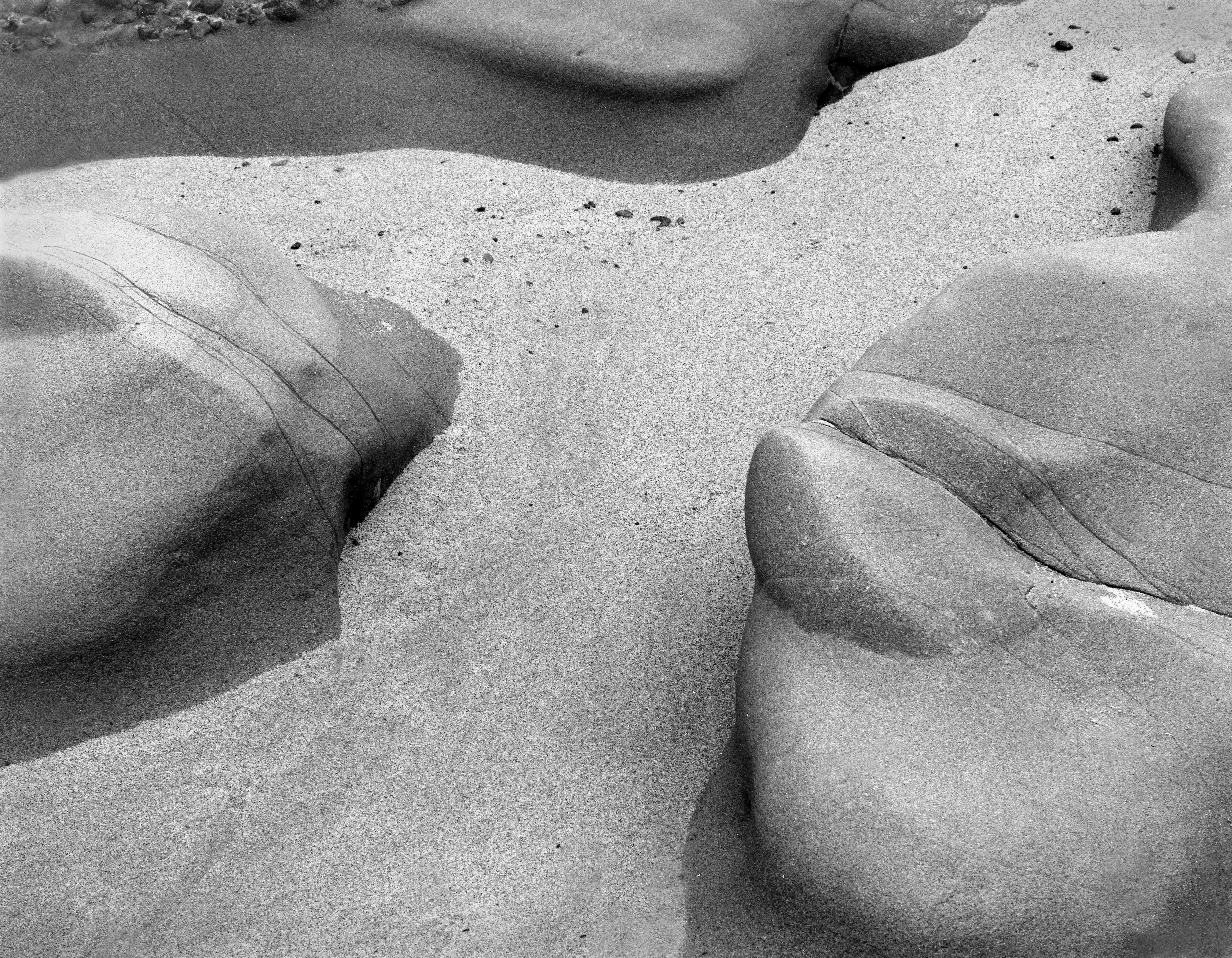 Point Lobos Porpoise Rock