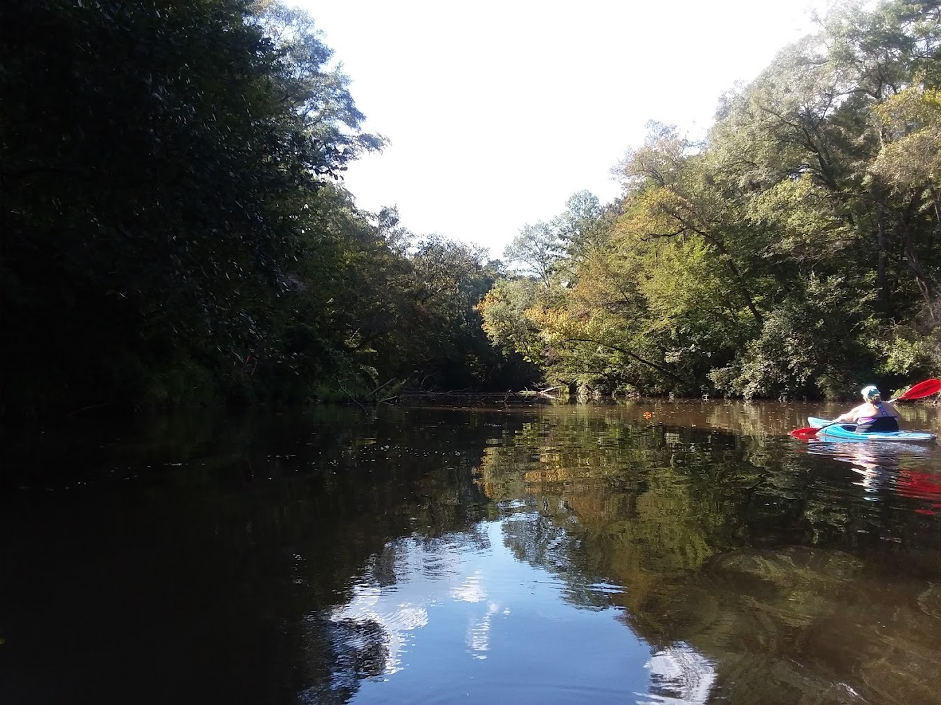 Person kayaking on a calm river surrounded by lush green forest under a clear sky.