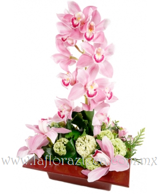 MD - 148  $1,580
Orquídea cymbidium en tonalidades rosas y hortensias